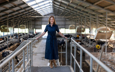 Milk & Meetings – Bringing the Story and Setting to Life